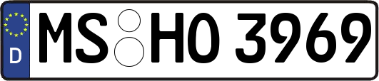 MS-HO3969