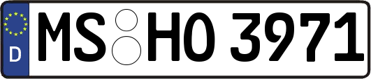 MS-HO3971