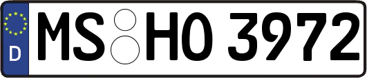 MS-HO3972