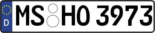 MS-HO3973