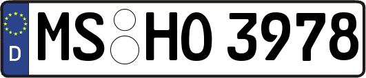 MS-HO3978