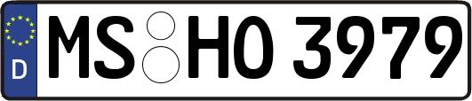 MS-HO3979