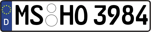MS-HO3984