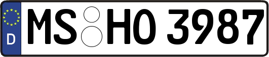 MS-HO3987