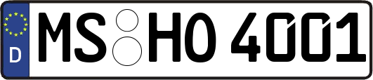 MS-HO4001