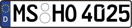MS-HO4025