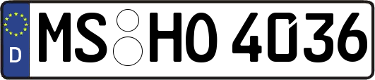 MS-HO4036