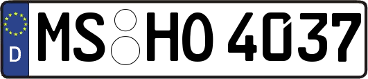 MS-HO4037