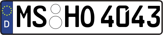 MS-HO4043