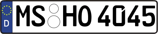 MS-HO4045