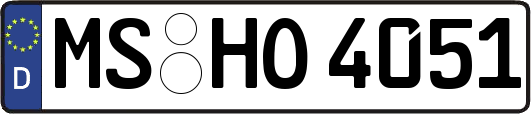 MS-HO4051