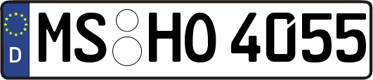 MS-HO4055