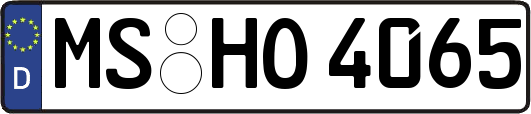 MS-HO4065