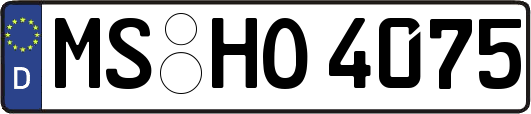 MS-HO4075
