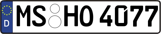 MS-HO4077