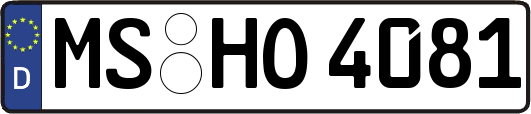 MS-HO4081