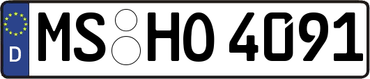 MS-HO4091