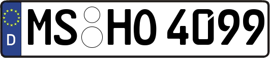 MS-HO4099