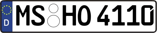 MS-HO4110
