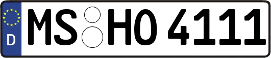 MS-HO4111