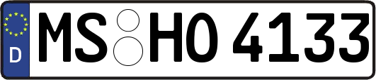 MS-HO4133