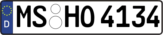MS-HO4134