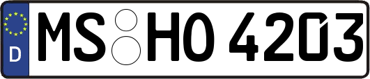 MS-HO4203