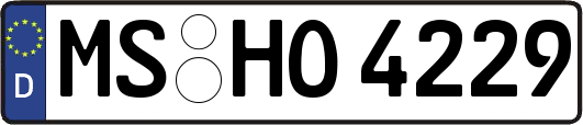 MS-HO4229