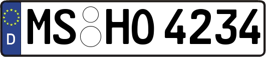 MS-HO4234