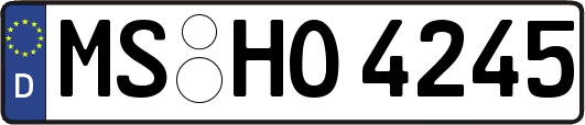 MS-HO4245