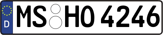 MS-HO4246