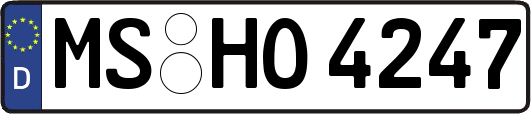 MS-HO4247