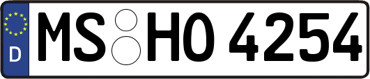 MS-HO4254