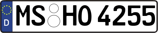 MS-HO4255