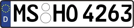 MS-HO4263