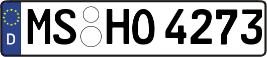 MS-HO4273