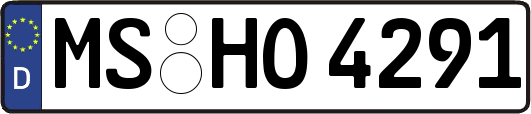 MS-HO4291