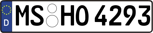 MS-HO4293