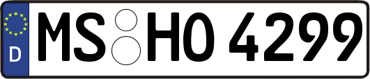 MS-HO4299