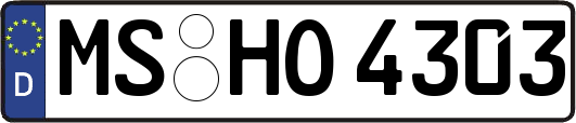 MS-HO4303