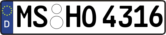 MS-HO4316