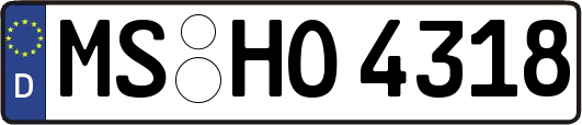 MS-HO4318
