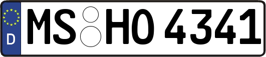MS-HO4341