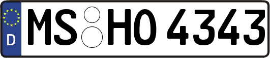 MS-HO4343