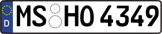 MS-HO4349