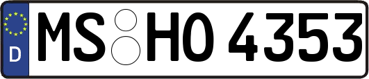 MS-HO4353