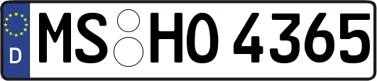 MS-HO4365