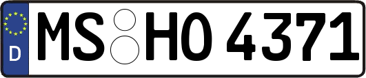 MS-HO4371