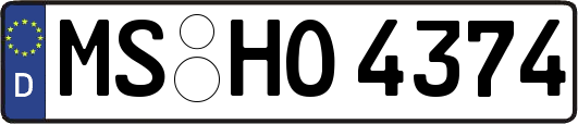 MS-HO4374