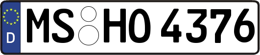 MS-HO4376